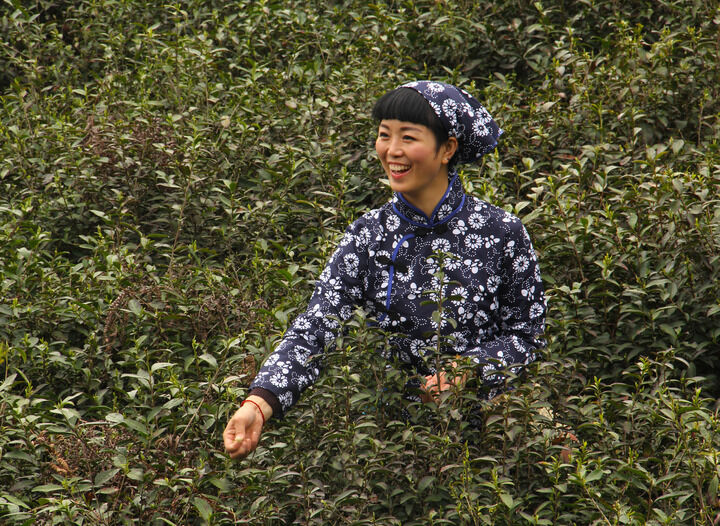 香煮伊在人线国产精品入口